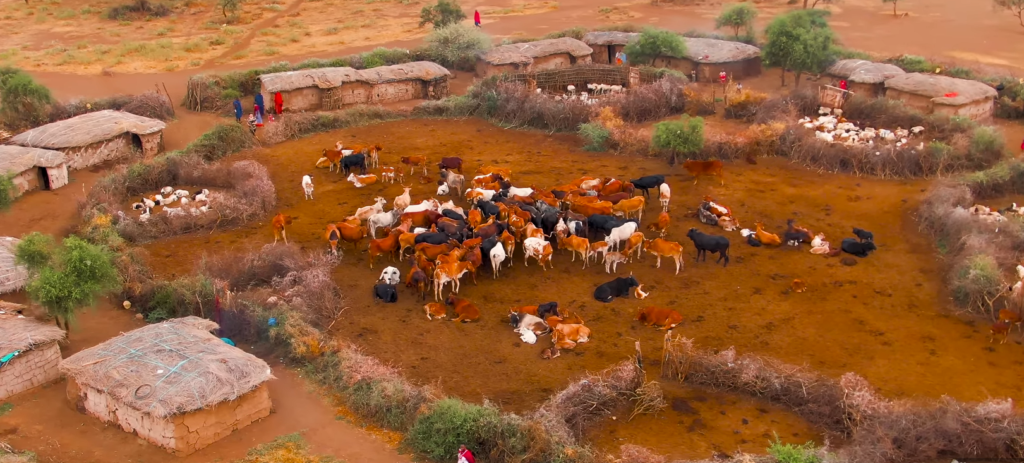 maasai village